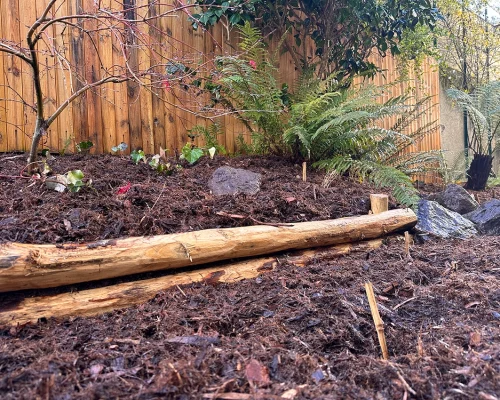 Aménagement d'une terrasse ombragée à Nantes