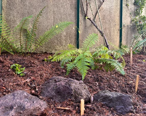 Aménagement d'une terrasse ombragée à Nantes
