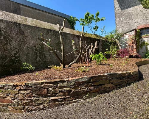 Aménagement de jardin à Liré pierres sèches et acier Corten