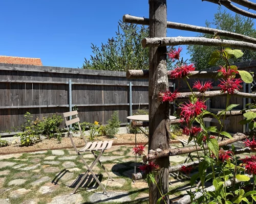 Création d'un jardin à St Sébastien sur Loire